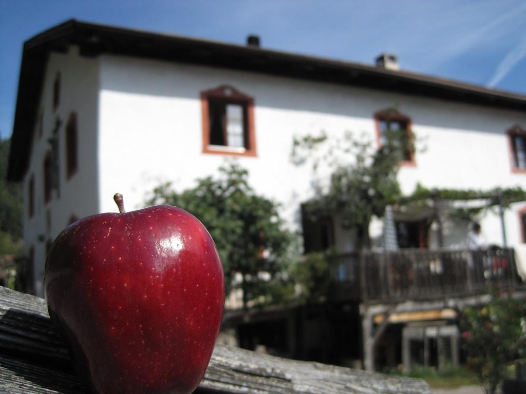 Gruberhof Villa San Genesio Atesino Buitenkant foto
