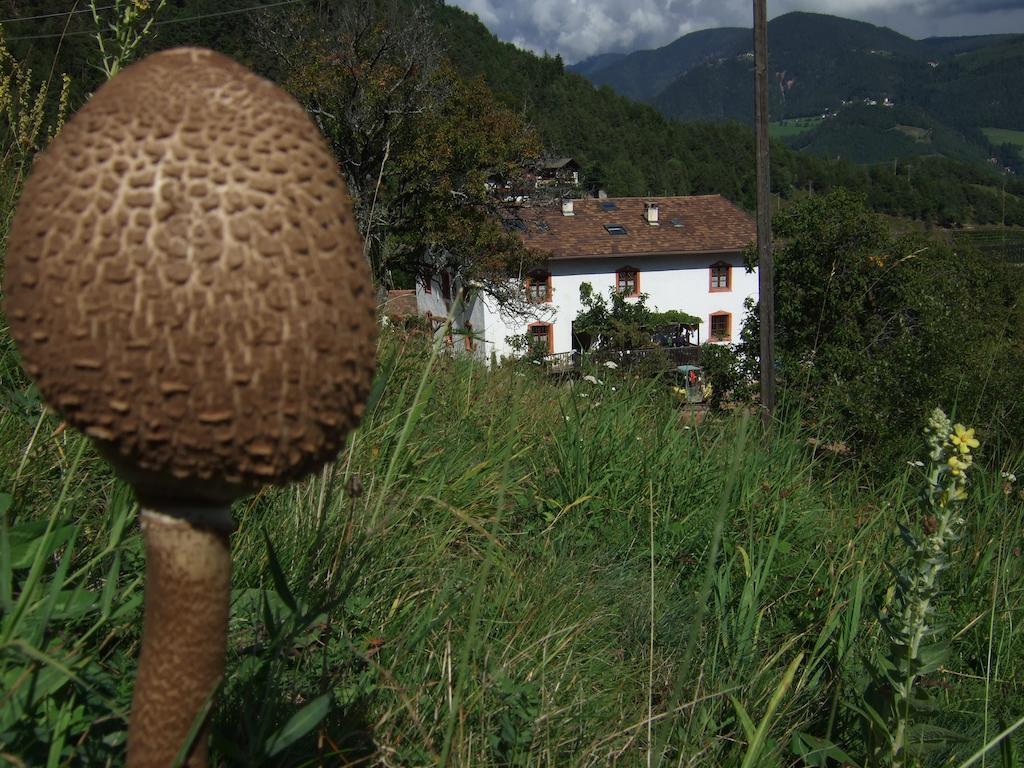 Gruberhof Villa San Genesio Atesino Buitenkant foto